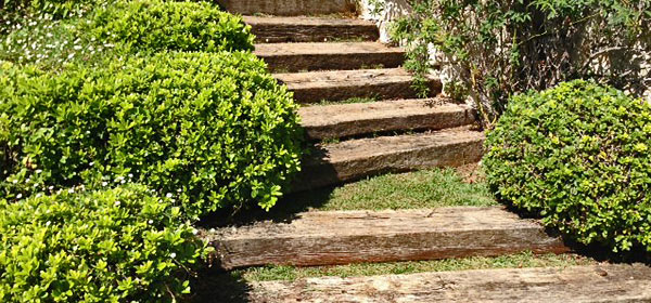 massif et escalier jardin